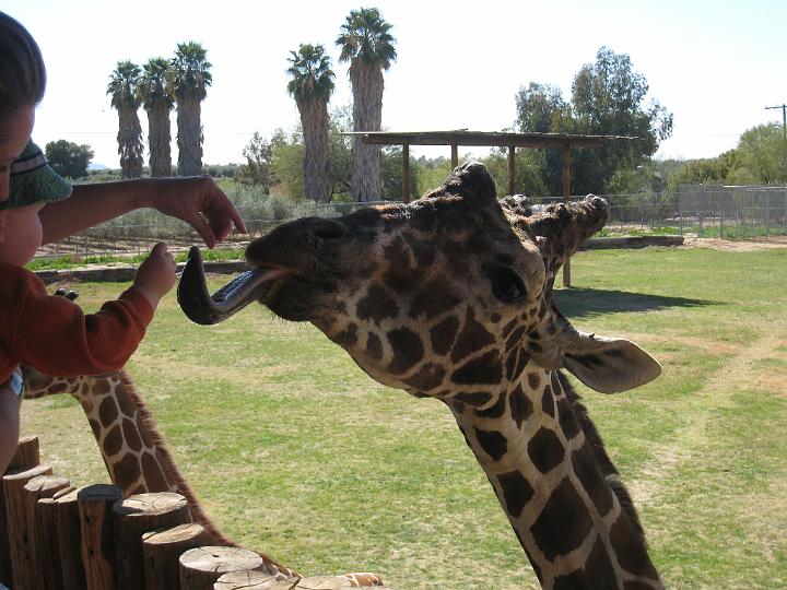 2nd Birthday at the zoo 21.JPG